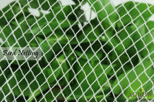 Bird Netting  AGROW PLASTICS