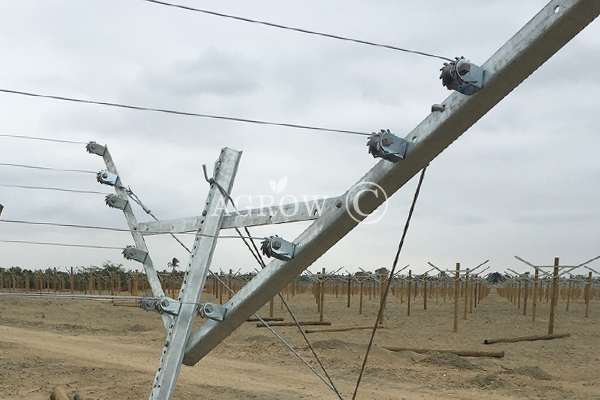 Straining End Post Quality End Post Wire Strainer Manufacturer and Supplier from China | AGROW