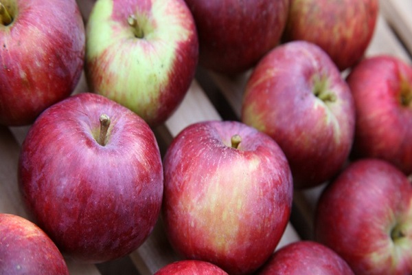 Fresh Apples Macintosh Bag, Apples Bagged