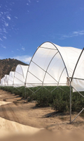 Poly tunnels