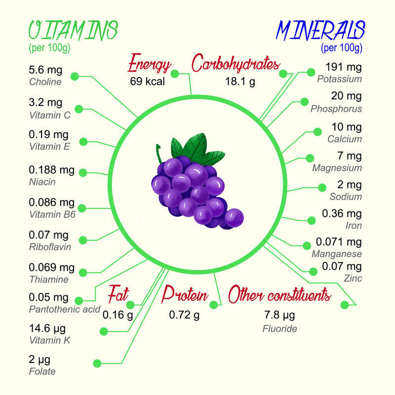 AGROW10 Fun Facts YouDidn’t Know About Grapes